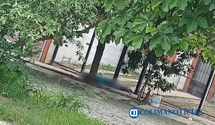 ejecutado en colima