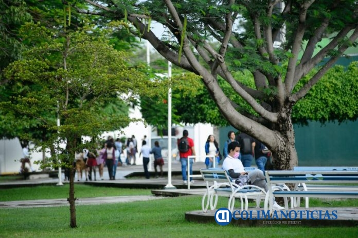 estudiantes de udec