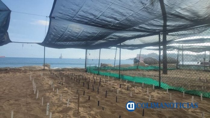 Campamento tortugario Manzanillo