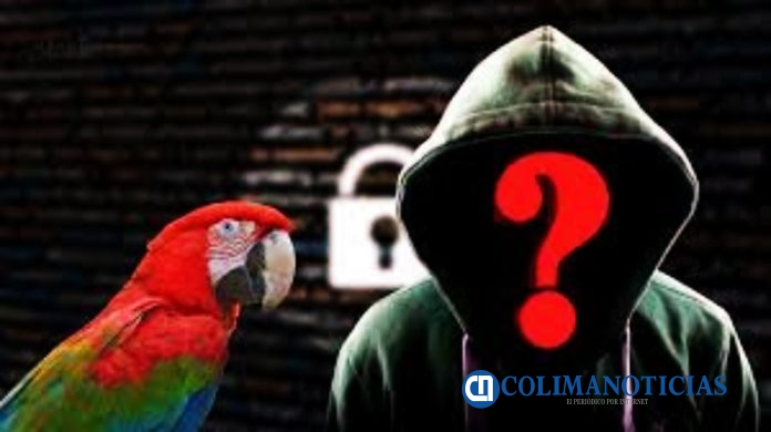 Hacktivistas Guacamaya