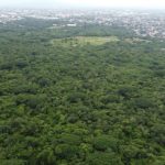 Imades invita a foro para diseñar espacios del parque ecológico ‘La Campana’