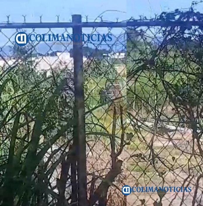 Localizan bolsa con restos humanos en la colonia Los Pinos de Colima