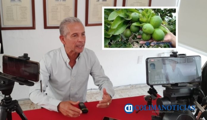oscar avalos sobre el limon