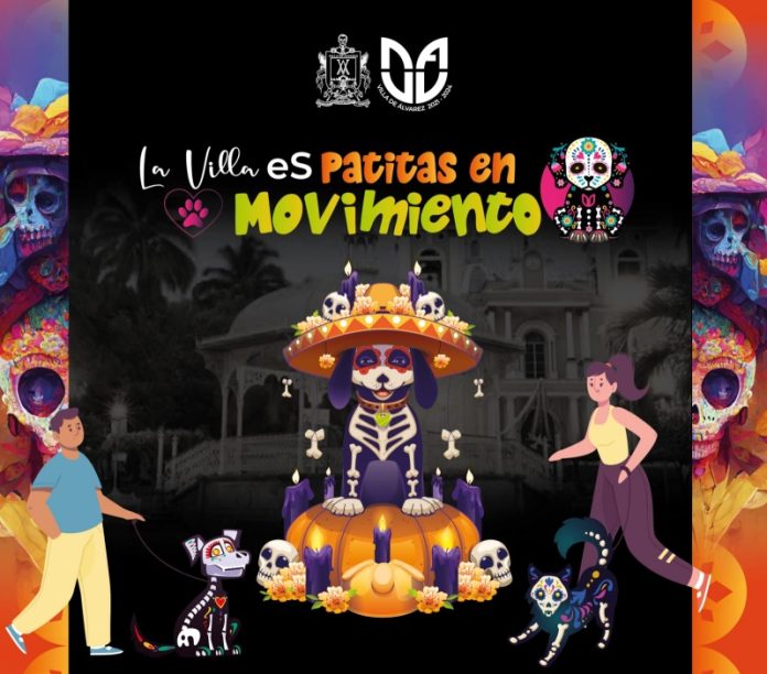 Patitas en Movimiento