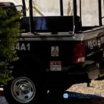patrulla de policia estatal