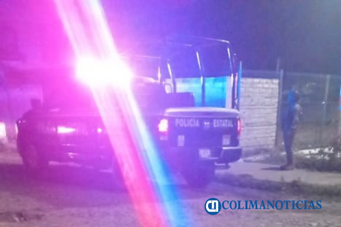 policía estatal