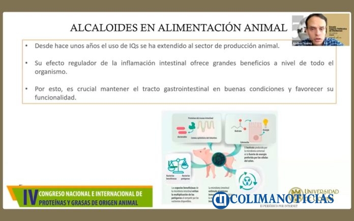 Enseñan uso de alcaloides para mejorar producción animal_a