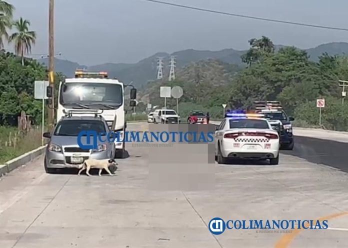 Mueren motociclistas arrollados por la carretera libre Manzanillo-Armería