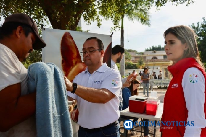 ADC_GOLONDRINAS_22012023_01