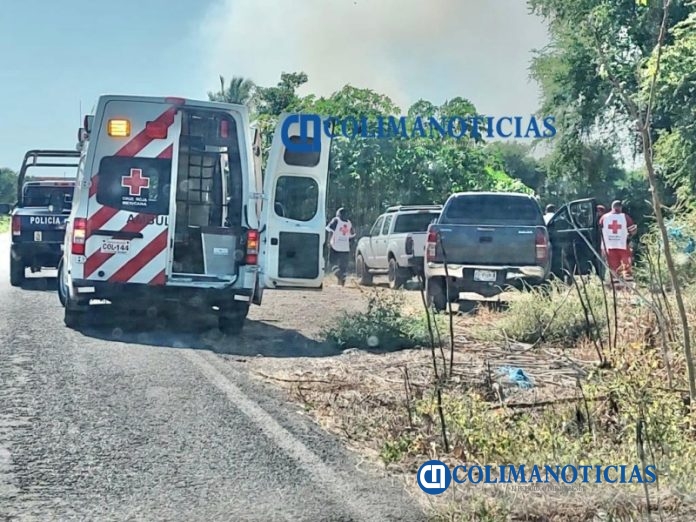 Abejas atacan a dos hombres en un predio agrícola en Tecomán