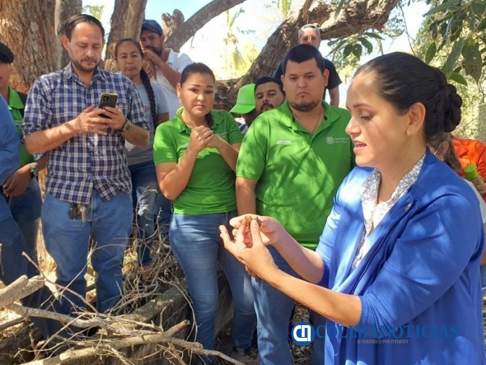 Curso-Taller Conociendo a las abejas