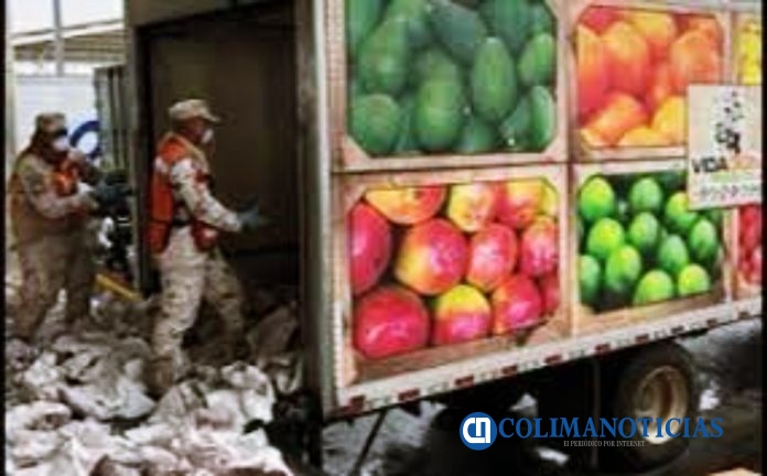 Tractocamión transportaba fruta de Colima… y droga