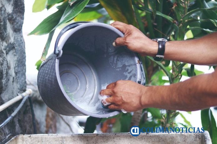 acciones contra el dengue