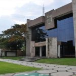 rectoria udec