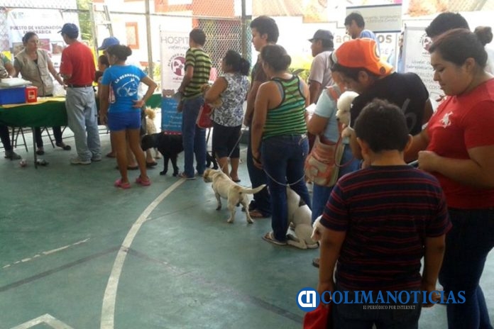 vacuna animales