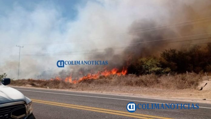 Incendio amenaza viviendas y criadero de plantas en el ejido El Chavarín4