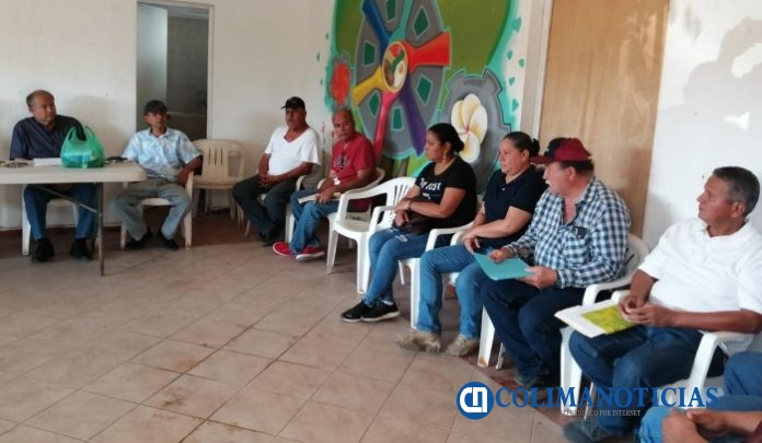 Productores de Armería se organizan para hacer frente a la plaga del coco