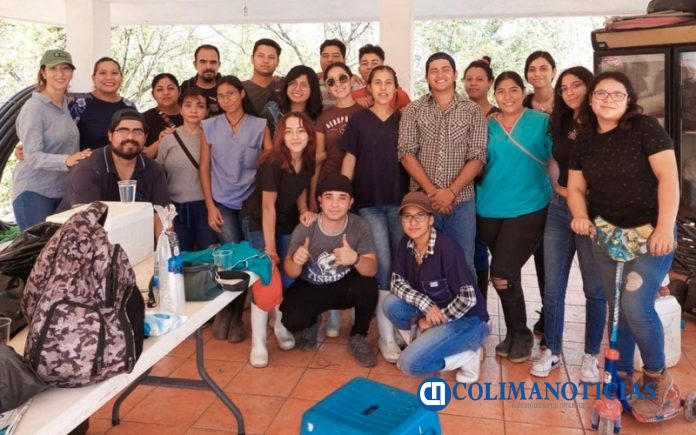Proyecto para diagnosticar Brucelosis en animales