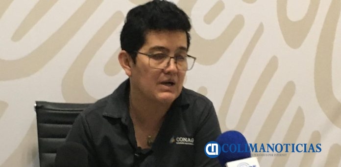 Tania Román Román