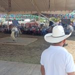exhibicion caballos feria villa de alvarez
