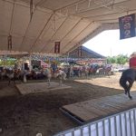 exhibicion caballos feria villa de alvarez 2