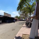 feria de villa de alvarez