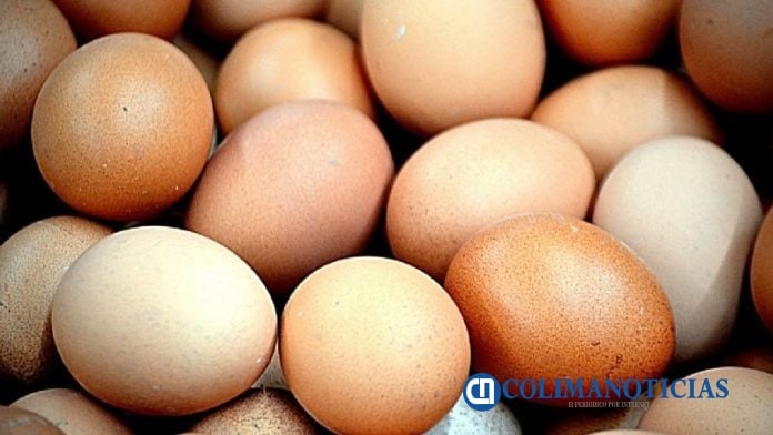 huevos