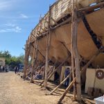 la petatera archivo