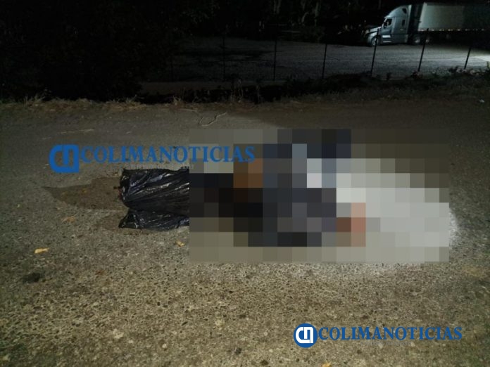 Dejan dos cabezas humanas y bolsas con cuerpos descuartizados en Boca de Apiza5