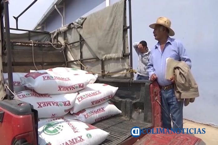 Entregarán 600 kilos de fertilizantes a cada productor de granos básicos del Estado