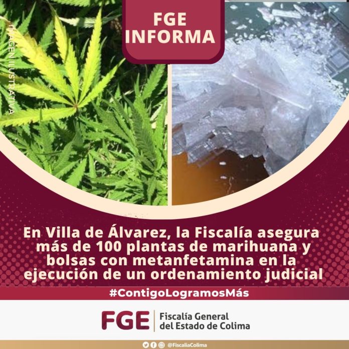 La Fiscalía asegura más de 100 plantas de marihuana y bolsas con metanfetamina en la ejecución de un ordenamiento judicial