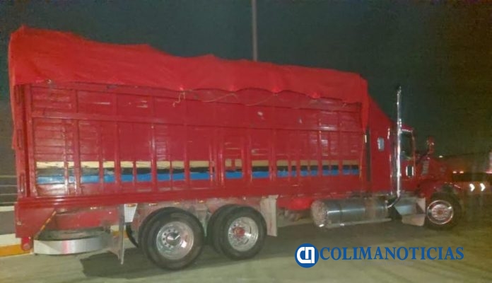 camion migrantes
