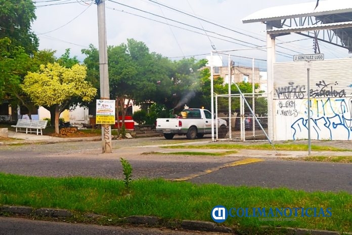 fumigar contra dengue