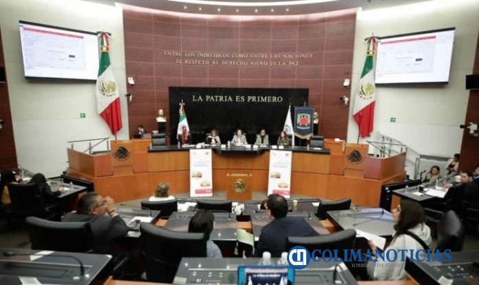 senado