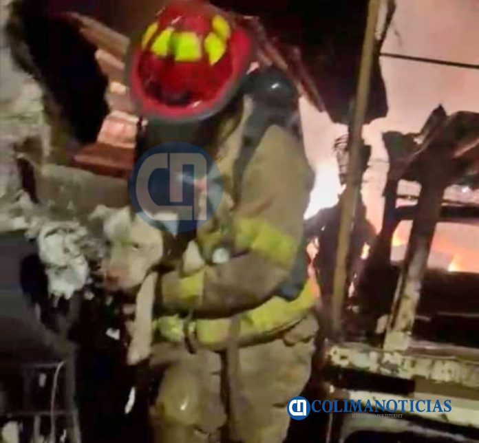 Rescatan un canino de incendio de una vivienda en Santiago
