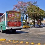 autobus colima archivo
