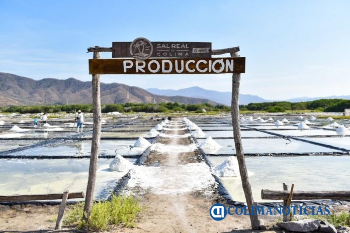 sal real de colima