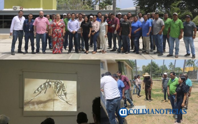 Capacitan sobre el dengue en el campus Manzanillo