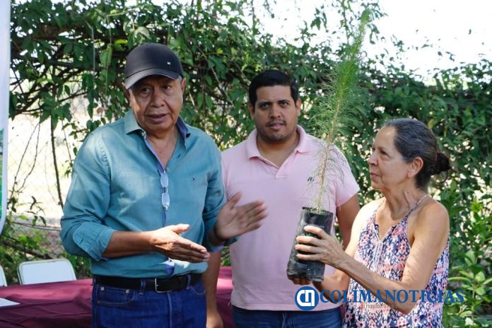 Gobierno Colima inició entrega de 164 mil plantas para reforestar los diez municipios