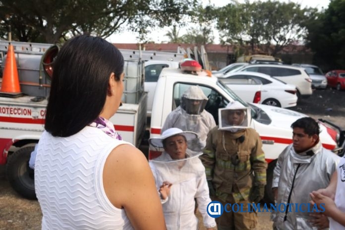 pican abejas en festival