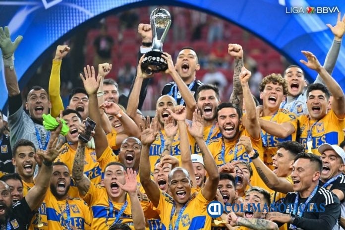 tigres campeón