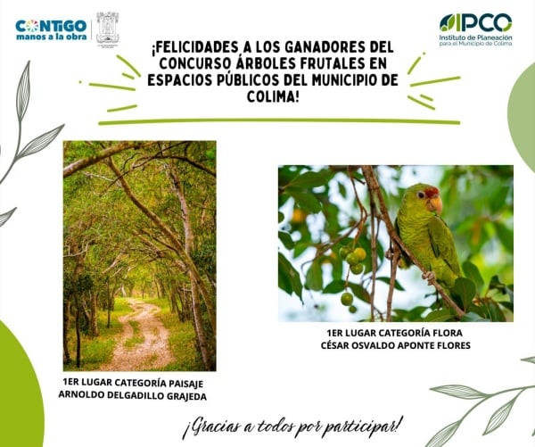 Eligen a ganadores del concurso de fotografía de árboles frutales en espacios públicos de Colima