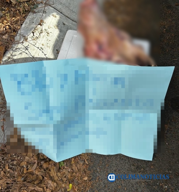 Encuentran hielera con una cabeza de puerco y cartulina con narcomensaje en la colonia Jacarandas de la Villa