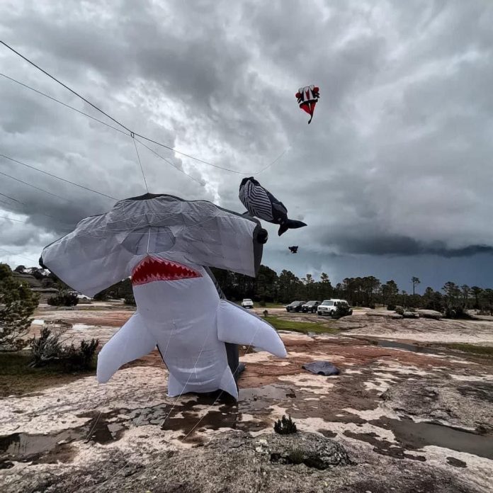 Festival Costero del Papalote en Manzanillo