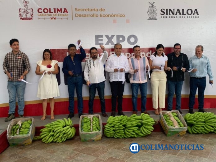 Incúbate Mx es una gran oportunidad para las y los emprendedores colimenses