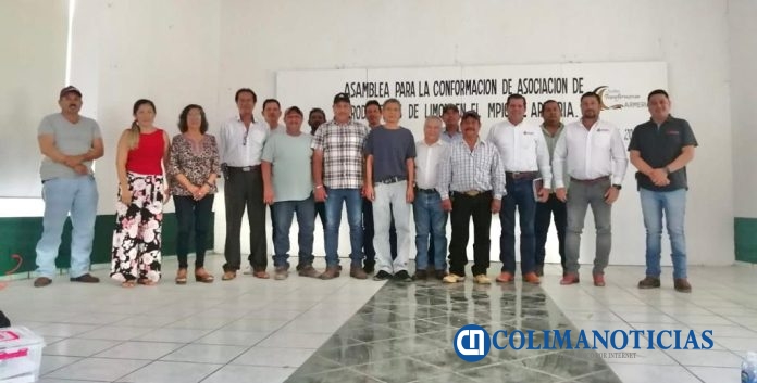 Rafael Alcalá asume la directiva de productores de limón de Armería