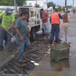 limpieza desague calle manzanillo