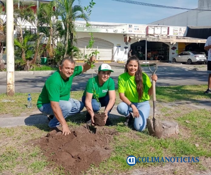 Apoya el PVEM en la reforestación del camellón de la Avenida Benito Juárez33