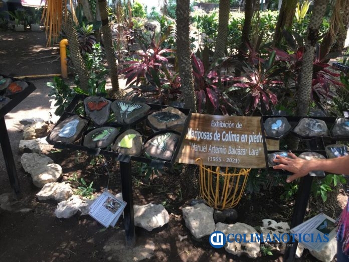 Crean 'Mariposario, arte en piedra' en Jardín Sustentable Las Palmas