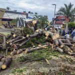 Cuantiosos daños materiales dejó el Huracán Beatriz en Manzanillo 5